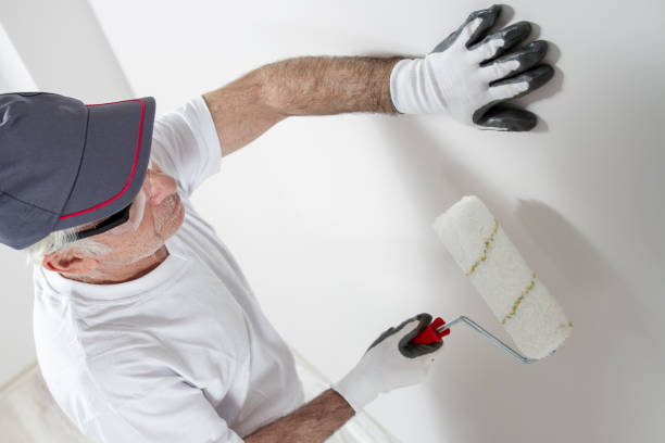 Best Mold Damage Restoration  in Churchill, PA