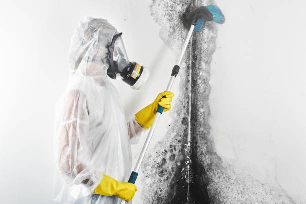 Best Air Quality Testing for Mold Spores  in Churchill, PA