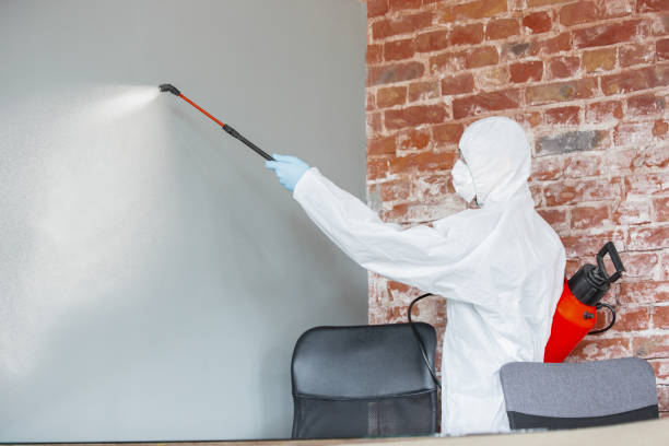 Reliable Churchill, PA Mold Removal Solutions