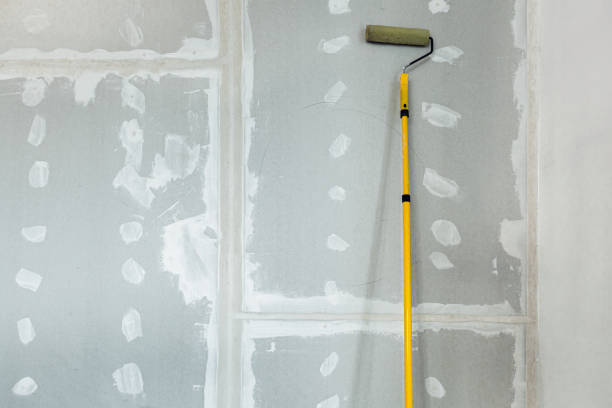 Best Forensic Mold Investigation  in Churchill, PA