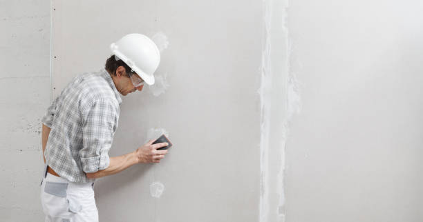 Best Industrial Mold Remediation  in Churchill, PA