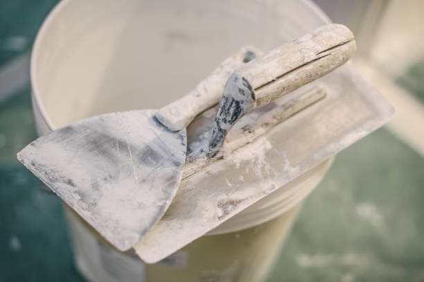 Best Water Damage & Mold Remediation  in Churchill, PA